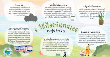มลพิษทางอากาศที่ทำให้เกิดอันตรายต่อสุขภาพ ได้แก่ ก๊าซคาร์บอนมอนอกไซด์ (CO), ซัลเฟอร์ไดออกไซด์ (SO2), โอโซน (O3), ไนโตรเจนไดออกไซด์ (NO2) รวมทั้งฝุ่นละอองที่อยู่ในชั้นบรรยากาศซึ่งมีได้ตั้งแต่ขนาดใหญ่และขนาดเล็ก ซึ่งฝุ่นละอองขนาดหยาบหรือที่เราเรียกว่า PM10 คือมีขนาดตั้งแต่ 2.5-10 ไมครอน มีแหล่งกำเนิดจากการจราจรบนถนน ฝุ่นผง ซึ่งมีผลทำให้ระคายเคืองทางเดินหายใจส่วนบน เช่นแสบคอ คันคอ จาม น้ำมูก คัดจมูก คันตา แสบตา หรือคันผิวหนังได้ สำหรับฝุ่นละอองขนาดเล็กหรือที่เราเรียกว่า PM2.5 คือฝุ่นละอองขนาดไม่เกิน 2.5 ไมครอน ได้จากการเผาไหม้ การผลิตไฟฟ้า โรงงานอุตสาหกรรม ซึ่งขนจมูกไม่สามารถกรองได้ ทำให้เข้าไปสู่ทางเดินหายใจส่วนล่าง ซึมเข้ากระแสเลือดผ่านทางถุงลม ทำให้มีผลกระทบต่ออวัยวะต่างๆ เช่น ระบบไหลเวียนโลหิต มีปัญหาต่อโรคหัวใจ สมอง ทางเดินหายใจ ทำให้หอบกำเริบ ถุงลมโป่งพอง หลอดอักเสบเรื้อรัง นอกจากนี้หากเป็นเวลานานจะเพิ่มความเสี่ยงในการเกิดมะเร็งได้ ซึ่ง PM2.5 ถือว่าเป็นมลพิษที่มีผลประทบต่อสุขภาพมากที่สุด เนื่องจากเป็นฝุ่นละอองขนาดเล็ก โดยมีขนาดเล็กกว่าเส้นผมประมาณ 20 – 30 เท่า ทำให้สามารถแพร่ไปยังอวัยวะต่างๆ และกระแสเลือดได้โดยตรง ทั้งนี้ผลกระทบต่อโรคหืดและภูมิแพ้ทางเดินหายใจขึ้นอยู่กับระดับ PM2.5 และระยะเวลาที่ได้รับ หากระดับ PM2.5 สูงมาก อาจทำให้เกิดอาการได้เร็วเช่น ไอ หอบ เหนื่อย แน่นหน้าอก คันตา คันผิวหนัง ในขณะที่หากได้รับระดับไม่สูงมาก เป็นเวลานานอาจมีผลทำให้เกิด ปอดอุดกั้นเรื้อรัง สมรรถภาพปอดลดลง เพิ่มความเสี่ยงในการเป็นโรคหืด และเป็นมะเร็งปอดได้